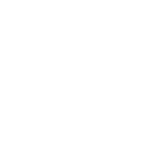 Handshake Icon White